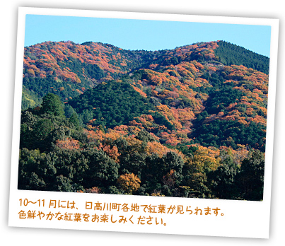 10〜11月には、日高川町各地で紅葉が見られます。色鮮やかな紅葉をお楽しみください。